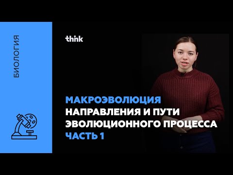 Макроэволюция. Направления и пути эволюционного процесса(часть 1) | Биология