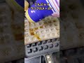 【ASMR】こんにゃくをワッフルメーカーで焼いたら。。。 #shorts