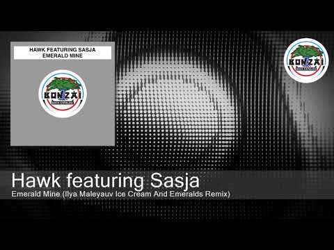 Sasja — Hawk featuring Sasja - Emerald Mine (Ilya Maleyauv Ice Cream And Emeralds Remix)
