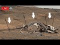Perseverance Rover Latest Images | Mars Photos | 360° 4K Footages of Mars | Mars 4K Video 1793