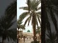 beautiful old madina transition #trending  shorts like and subscribe