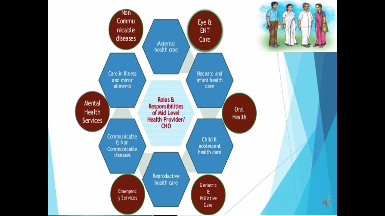 Roles and responsibilities of MLHP