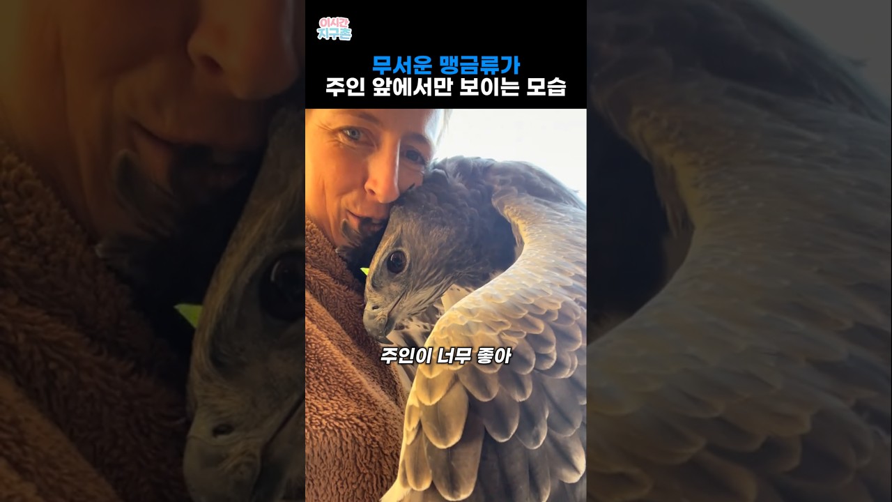 무서운 맹금류가 주인 앞에서만 보이는 모습