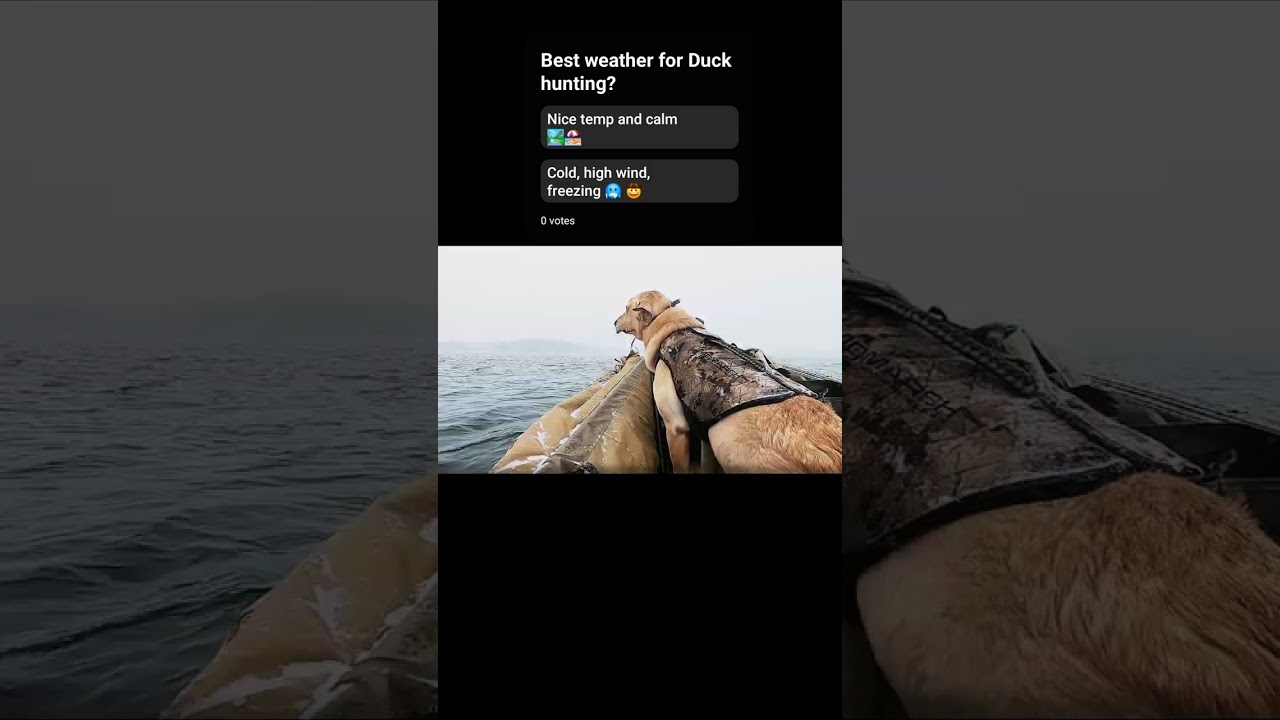 Duck hunting Minnesota freezing temps challenge