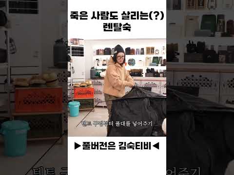 죽은 사람도 살리는(?) 렌탈숙!!