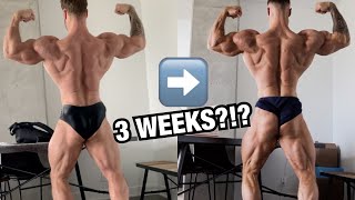 Transformation Part 2 | BECOMING MR. OLYMPIA