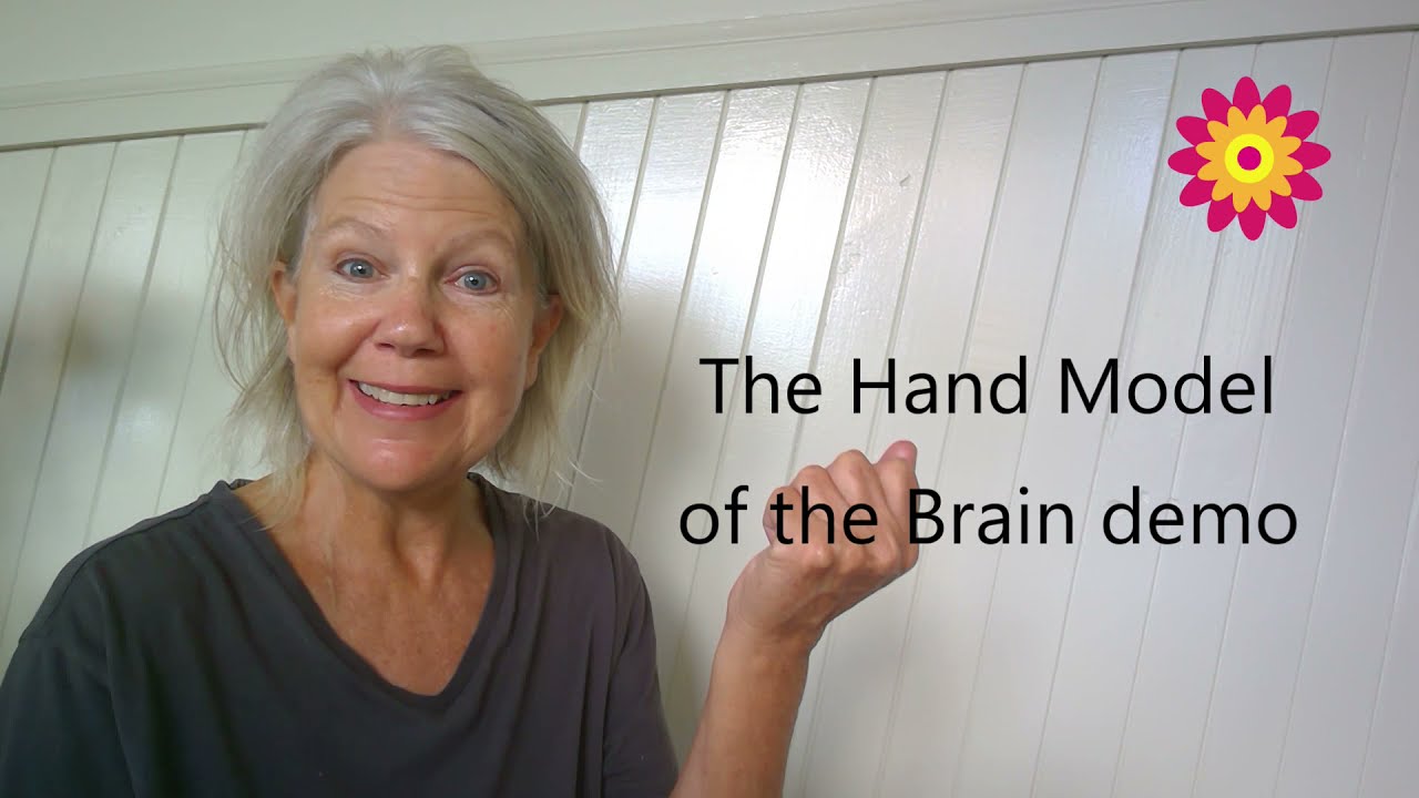 Flipping your lid amygdala function YouTube