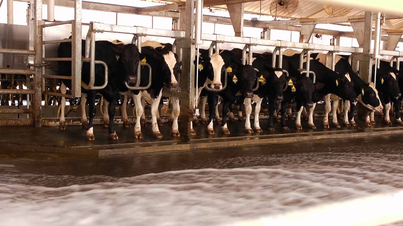 Water Recycling on the Farm YouTube