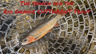 Fly Fishing For The RIO GRANDE TROUT at clear creek and Saint Mary’s lake!