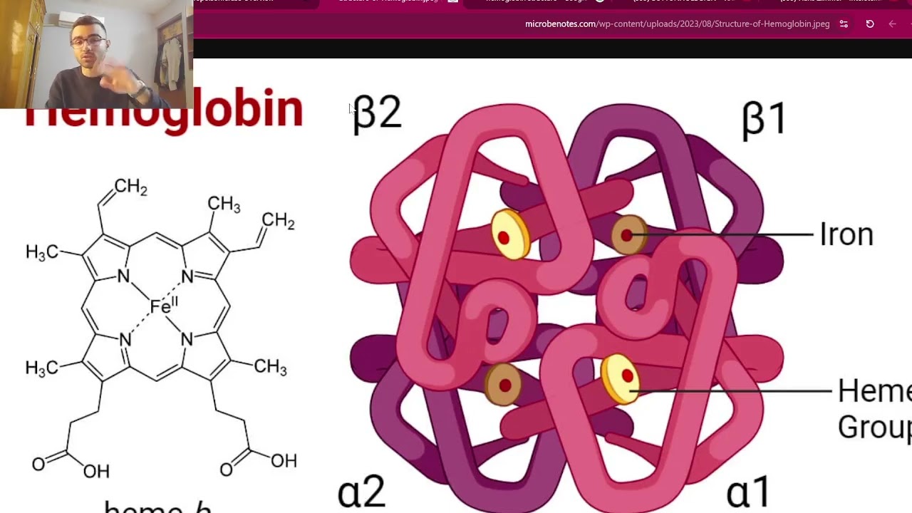 تخدير/ المرحلة الثانية/ باطنية - محاضرة 2 (امراض الدم)