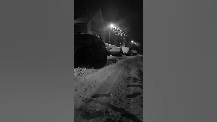Untitled video