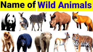 20 Wild Animals for Kids | Learn Animal Names in English and in Hindi #animals #mathtabletv