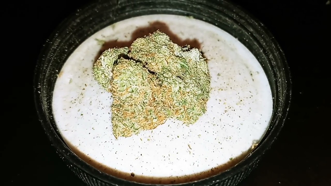 Jilly Bean strain review