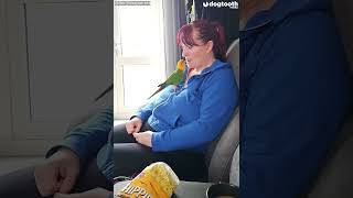 Parrot Feeds Owners Crisps - So They Give Them Back ‘Like Mummy Bird || Dogtooth Media