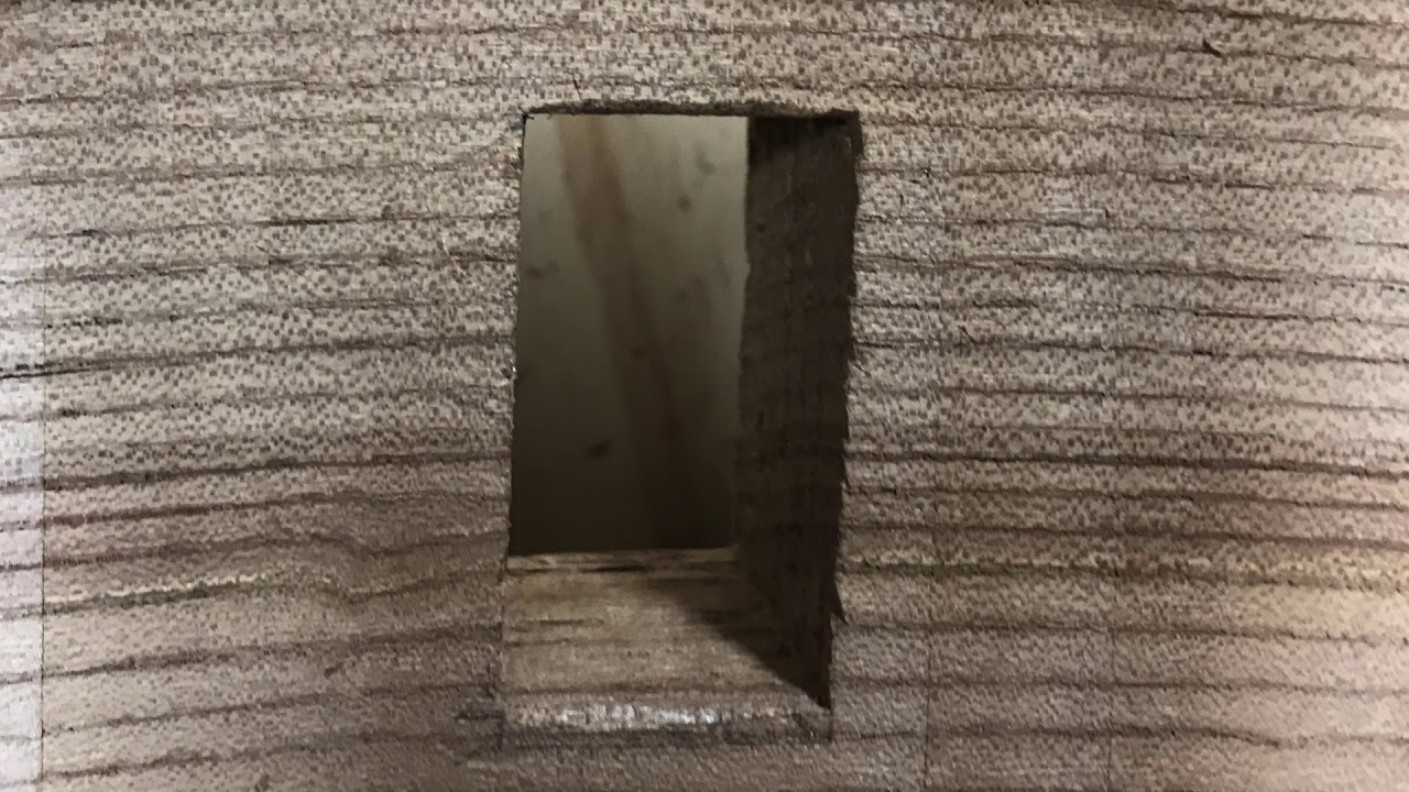 Building a Cabriolestyle Live Edge Coffee Table.... In Spanish! YouTube