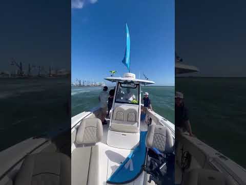 Sportsman Open 262