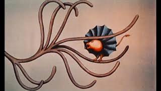 Fantastic Planet Trailer - Gaba Wright Re-Score