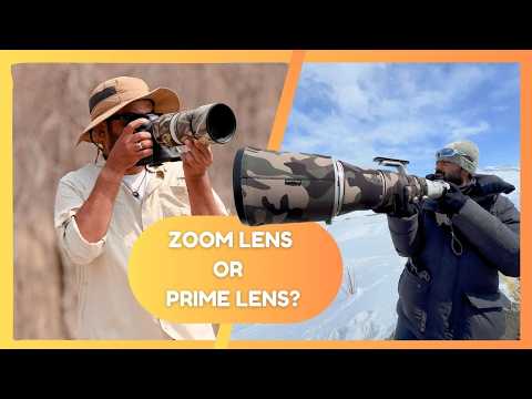 Zoom Lens Over a Big Prime Lens For Wildlife