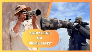 Top Reasons I Choose A Zoom Lens Over A Big Prime Lens For Capturing Wildlife