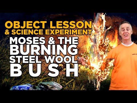Moses and the Burning Steel Wool Bush