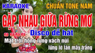 Gặp Nhau Giữa Rừng Mơ Karaoke Tone Nam | Remix