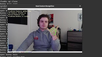 Real-time Hand Pose Detection
