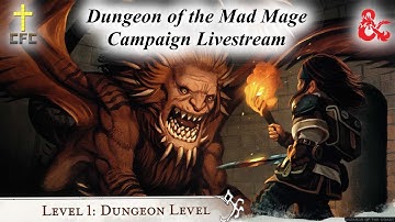 Dungeon of the Mad Mage - Session 4 - Beyond the Mirrors