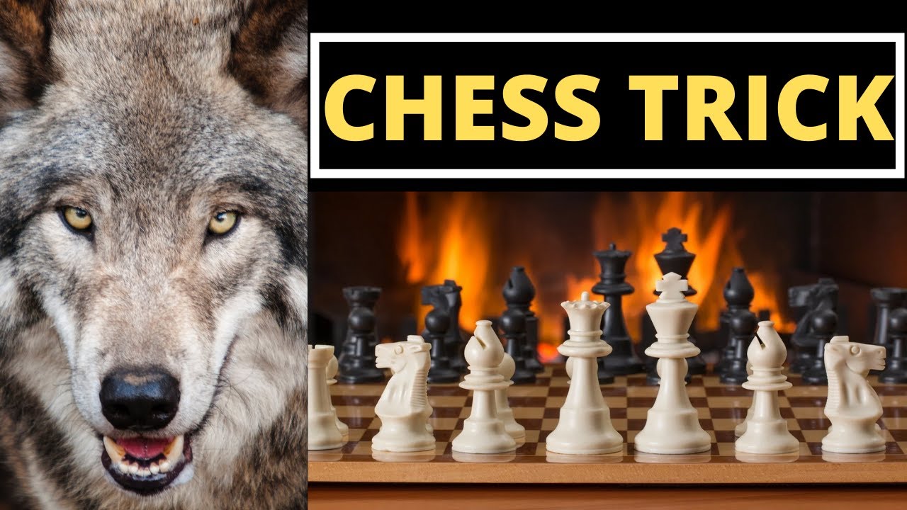 Caro-Kann Defense, Rating Chess Openings Pt. 13, #chess #chesstok #c