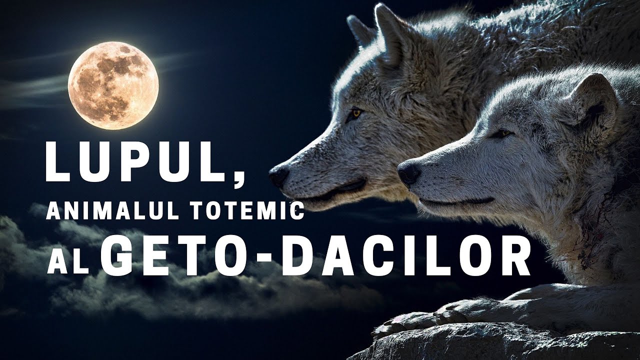 LUPUL - Animalul TOTEMIC al GETO-DACILOR