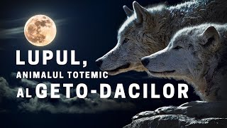 LUPUL - Animalul TOTEMIC al GETO-DACILOR