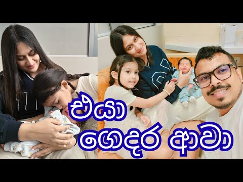 මල්ලිව මුලින්ම අක්කි දැකපු වෙලේ මොකද වුනේ😍🩵💖 | එයාව එක්කන් අපි ගෙදර ආවා🥹 | Life in Dubai |Sri Lankan