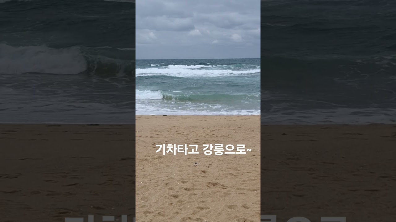 #shorts #강릉 #안목해변 #안목커피거리 #기차여행 #ktx이음