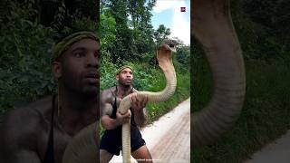 How Snake Handlers Survive Deadly Bites