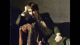 The Divine Comedy - The Wreck of the Beautiful