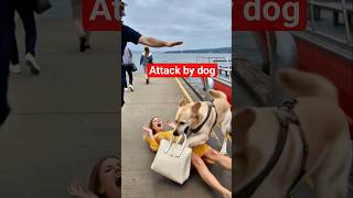 who save life of  girl? #trending  #shortsfeed #viral #shortvideo  #amazing #youtubeshorts #vlog