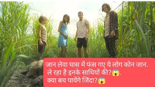 Horror muvie Hindi | In the tall grass (2019) Movie Explanation in Hindi/Urdu sumerized hunted ghans