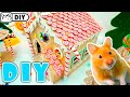 DIY - How to make hamster cardboard GingerBread house 🐹 Homura Ham!