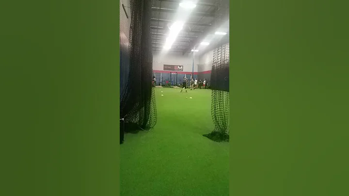 Shane / Travis cones