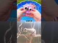 Kids Learn | Animal Names with Toys: Koala Camel Dog Hyena Lion