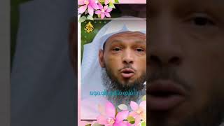 امك بابك الي الجنه | الشيخ سعد العتيق