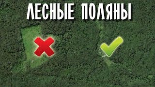 ПОИСКИ НА ЛЕСНЫХ ПОЛЯНАХ И ВЫРУБКАХ! Советы кладоискателей