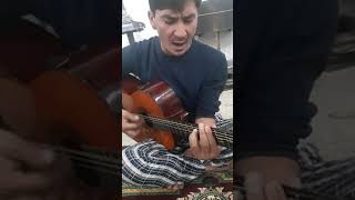 Bega gitara aynam