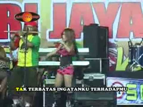 koplo Scorpio (eny sagita)"Sembilu"