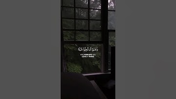 من اجمل ما قرأ العفاسي لتهدئة النفس من سورة البقرة "وعسي أن تكرهوا شيئاً وهو خيرا لكم "