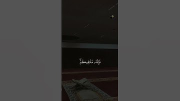 قل إن الموت الذي تفرون منه فإنه ملاقيكم # سورة_الجمعة
