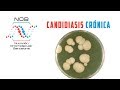 NOB - Solución a la Candidiasis Crónica