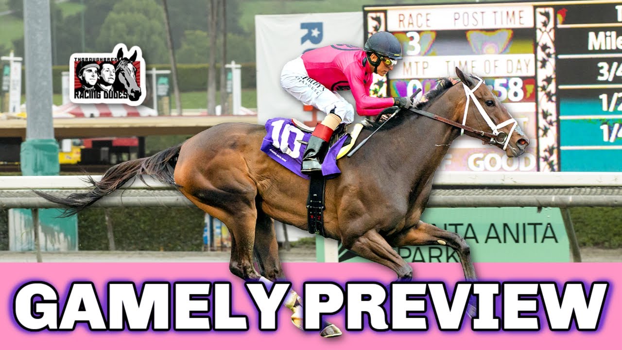 2023 Gamely Stakes Preview & FREE Picks | Pegasus Champ QUEEN GODDESS ...