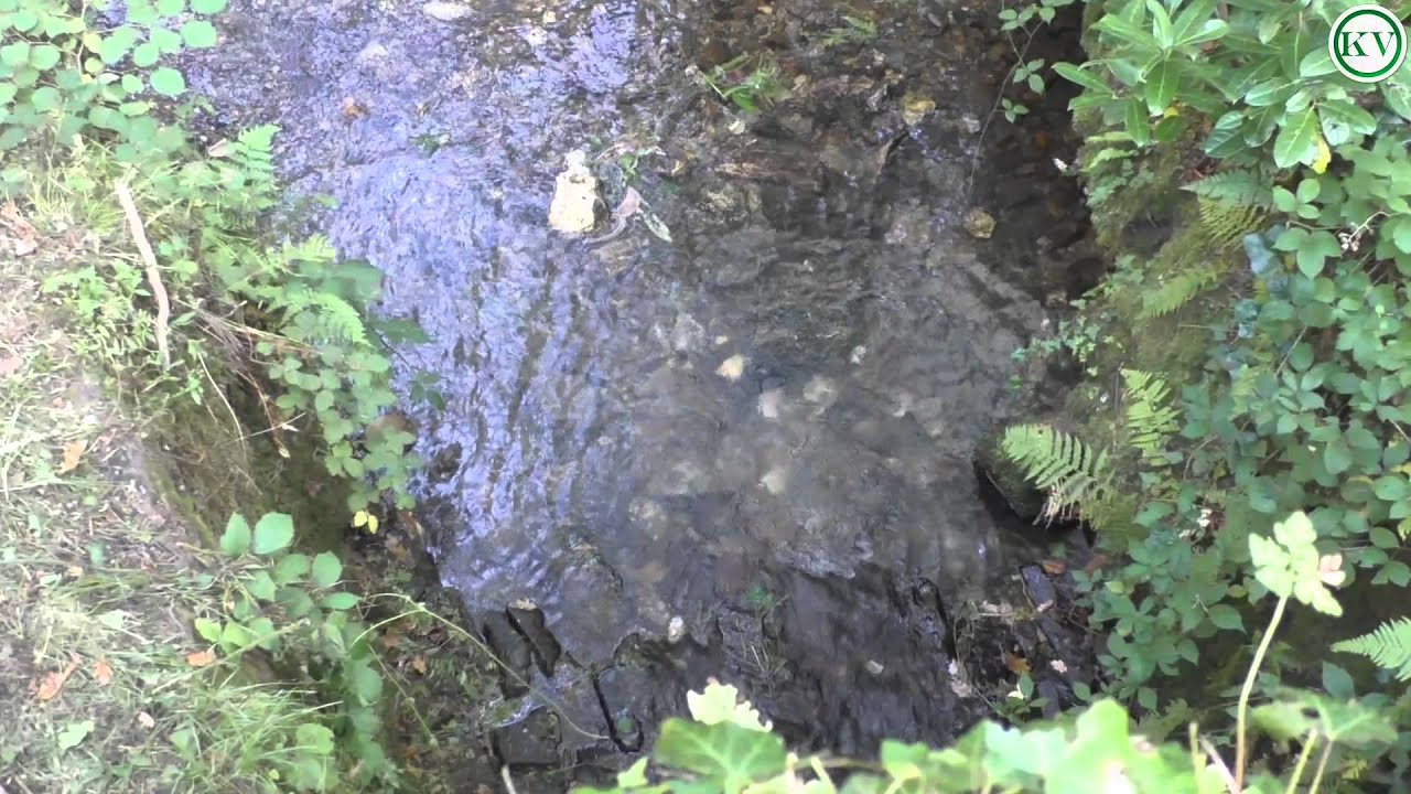 Respryn on the Lanhydrock estate, near Bodmin
