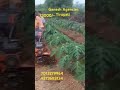 Gaja Power weeder available @Ganesh Agencies Tirupati #7013279964,9573683134 Bajaj Emi available