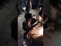 Piya gasva Laila na